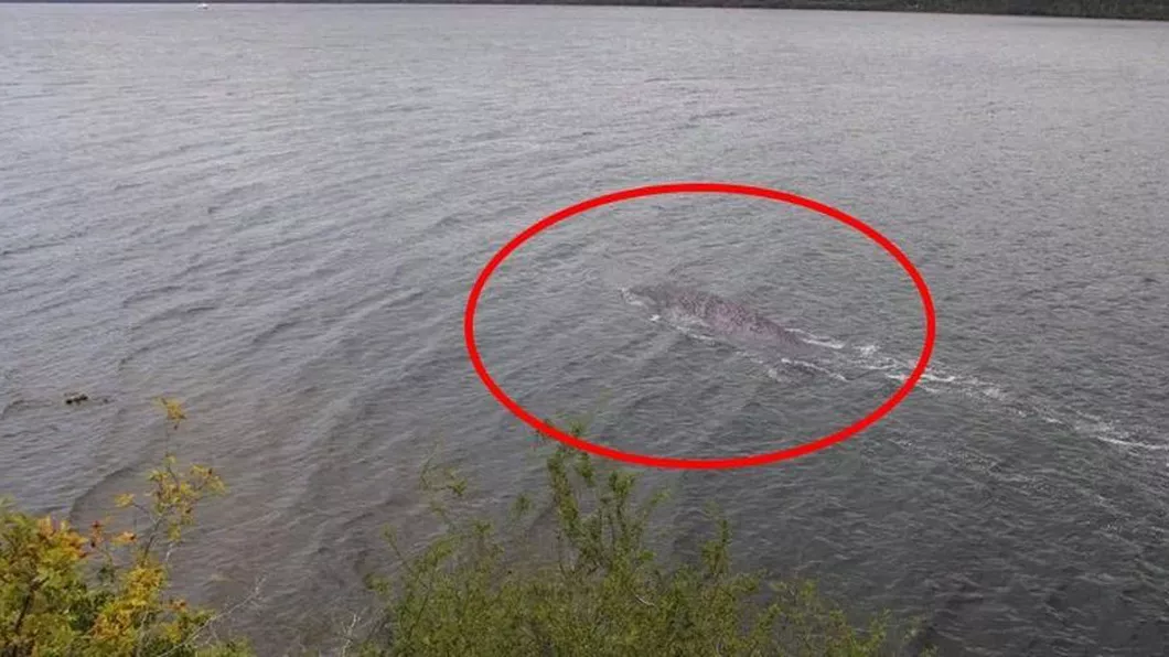 Monstrul din Loch Ness există Oamenii au rămas fără cuvinte Avea cel puțin 10 metri