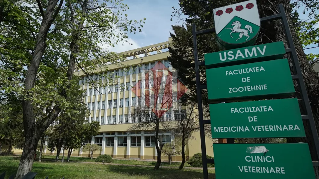 Sumă uriașă în valoare de 8 milioane de euro câștigată prin proiecte de USAMV Iași în cadrul competiției Innotech Student pentru susținerea planurilor de afaceri în rândul studenților