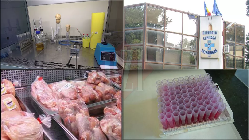 Carne de pasăre adusă din Polonia în Iași infestată cu Salmonella. Zeci de tone de produse contaminate au fost retrase înainte de a ajunge pe mesele ieșenilor