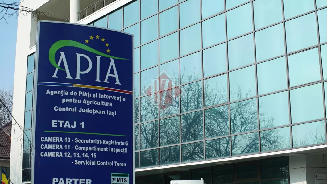Lista neagră cu fermierii din Iași care trebuie să dea banii înapoi pentru subvenții după ce au fost descoperiți cu nereguli de inspectorii APIA