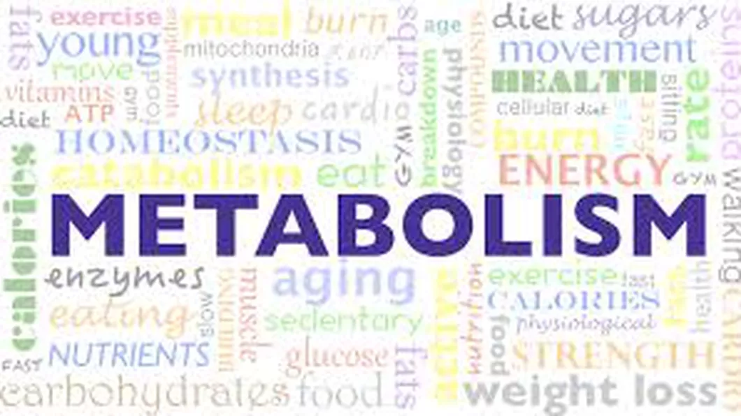 Cum să accelerați metabolismul organismului