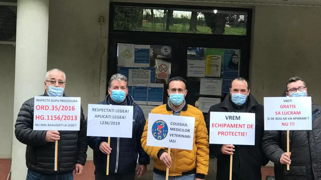 A doua zi de protest. Medicii veterinari pichetează în continuare în fața DSVSA Iaşi