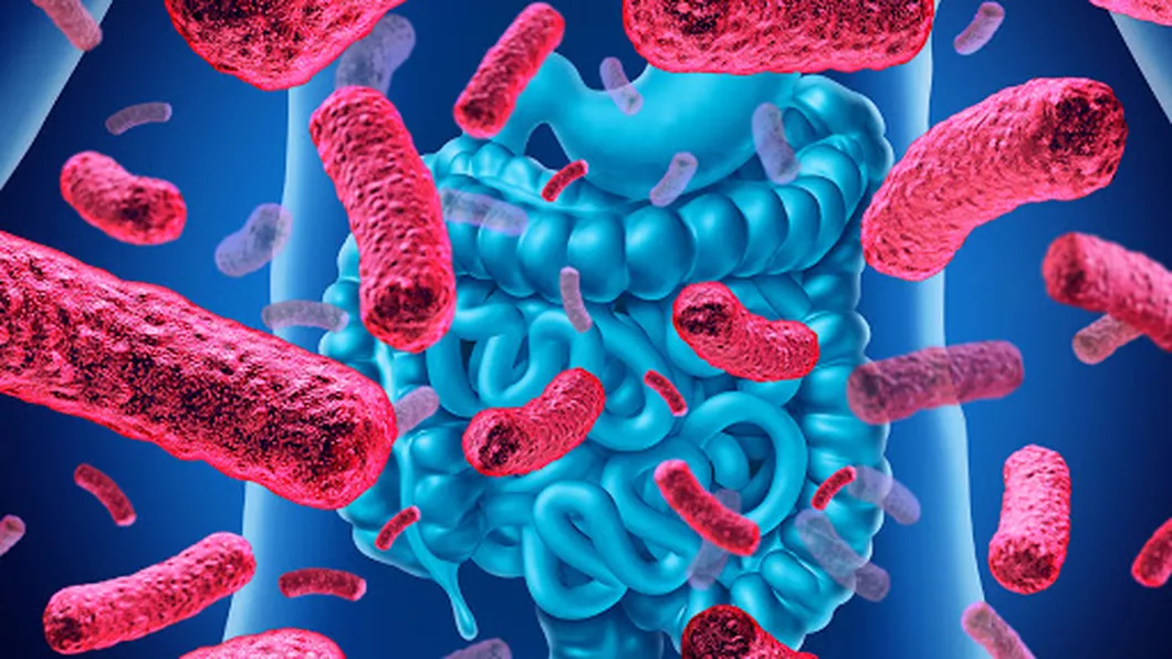 Legătura dintre bacteriile intestinale și vitamina D