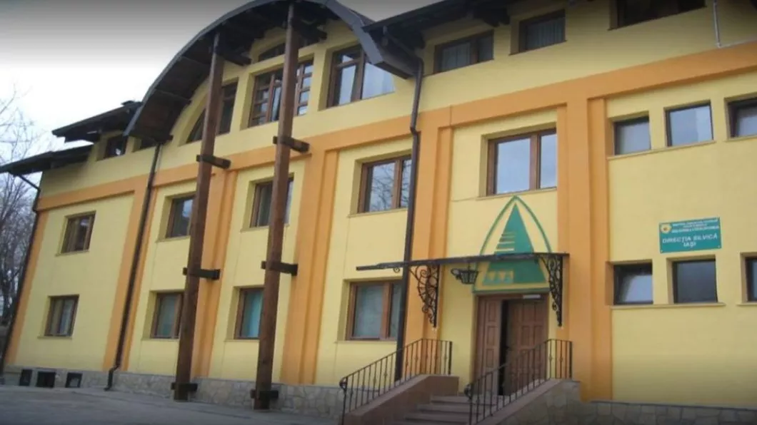 Direcția Silvică Iași cheltuie fonduri pentru refacerea pădurilor Contractul are o valoare de 850.000 de euro