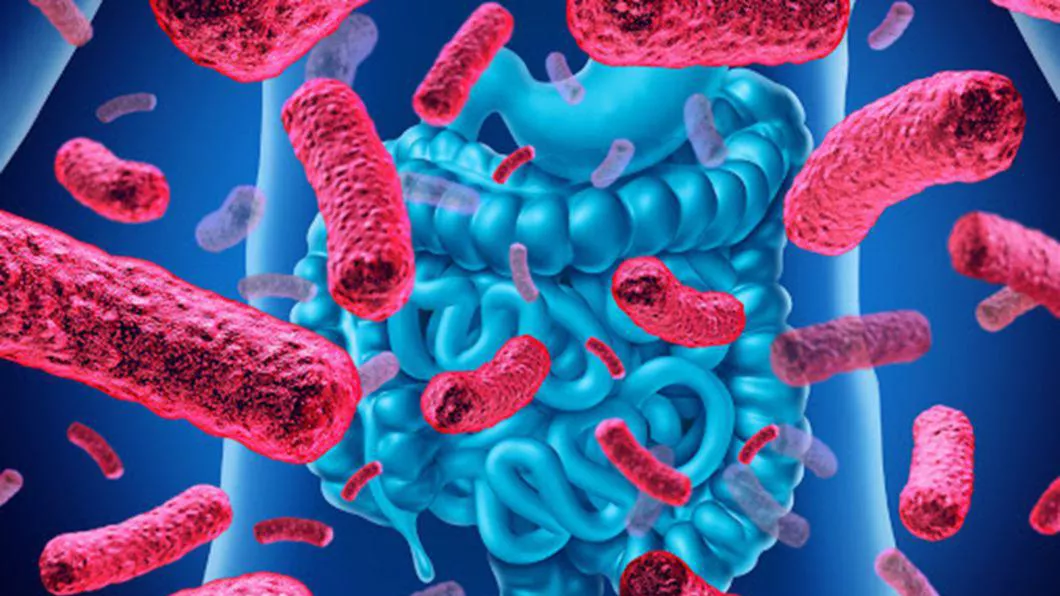 Bacteriile intestinale pot afecta gravitatea infecțiilor cu COVID-19