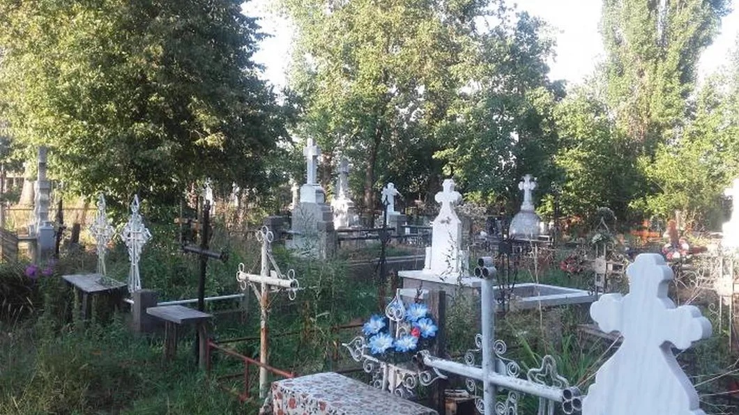 Scene incredibile într-un cimitir din Iași Un bărbat a fost tras la răspundere Întreg scandalul a pornit de la un copac aflat lângă un mormânt Exclusiv