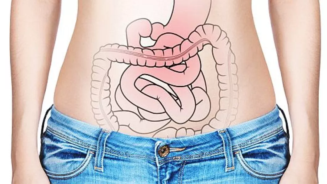 Oamenii de știință au identificat mecanismul care determină dezvoltarea sindromului intestinului iritabil
