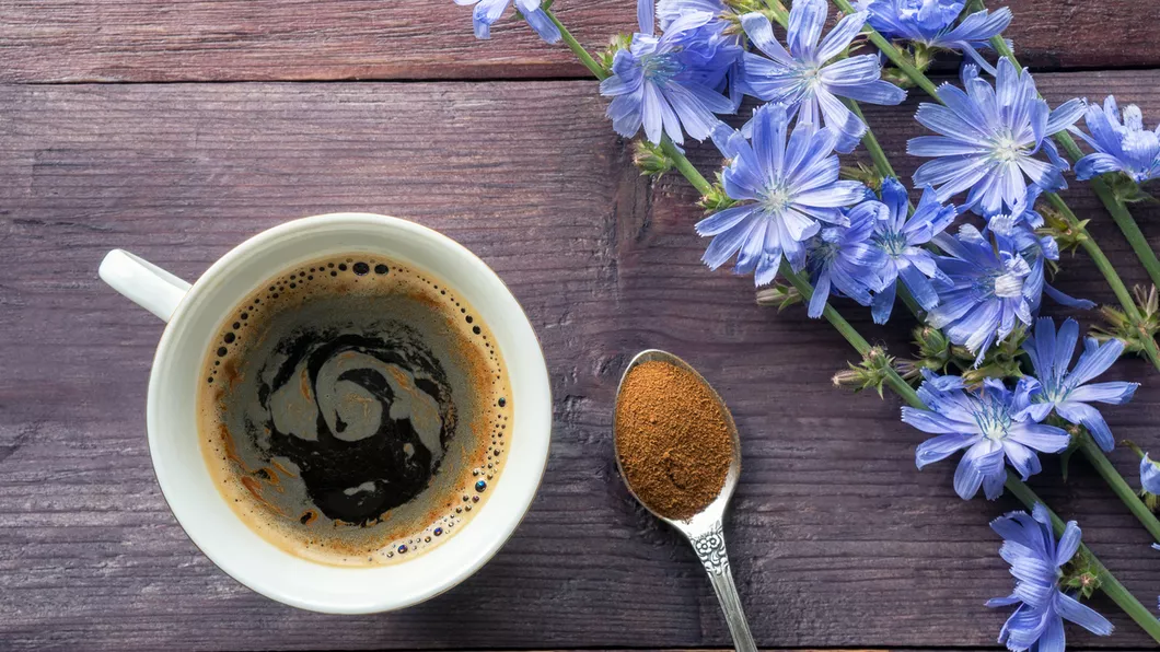 Cafeaua de cicoare cele 5 beneficii pentru sănătate pe care trebuie să le cunoașteți