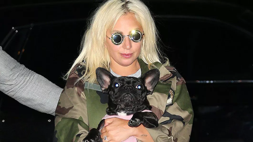 Cântăreaţă Lady Gaga oferă recompensă de 500.000 dolari pentru cei doi câini Bulldogi francezi