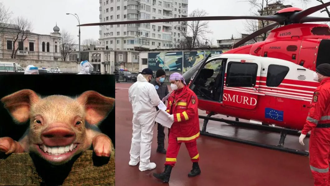Un barbat beat a ajuns la spital după ce s-a injunghiat incercând să taie porcul