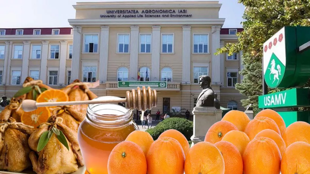Teme inedite ale licențelor studenților de la Universitatea de Agronomie din Iași rețete de pastramă din piept de pui frăgezită în suc de portocale și miere de albine