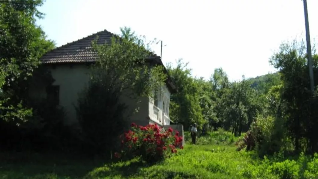 Un clujean întors din Italia s-a trezit că vecinii i-au furat gospodăria și au transformat-o în fermă