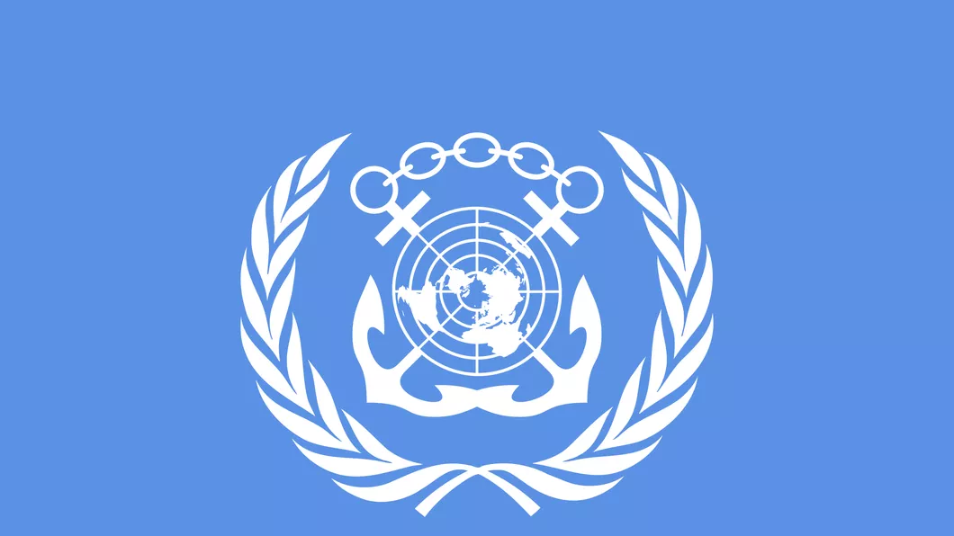 Organizaţia Naţiunilor Unite nu renunţa la misiunea din Afganistan