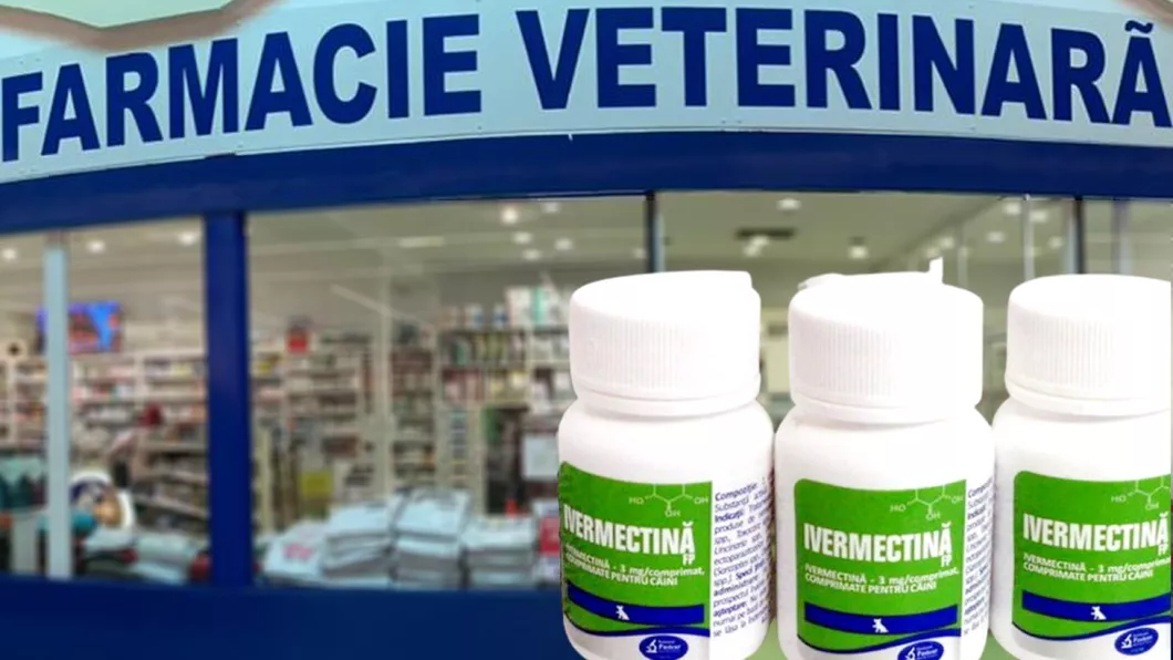 Medicii veterinari nu mai au Ivermectină în farmacii și cabinete din cauza isteriei create de ieșeni în jurul acestui medicament Mai bine să facă gargară cu apă cu sare