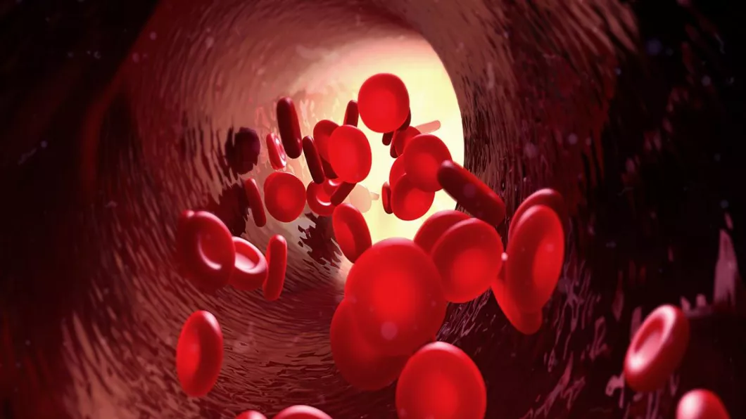 Hemoglobina niveluri normale mari scazute și cauze Ce inseamna fiecare