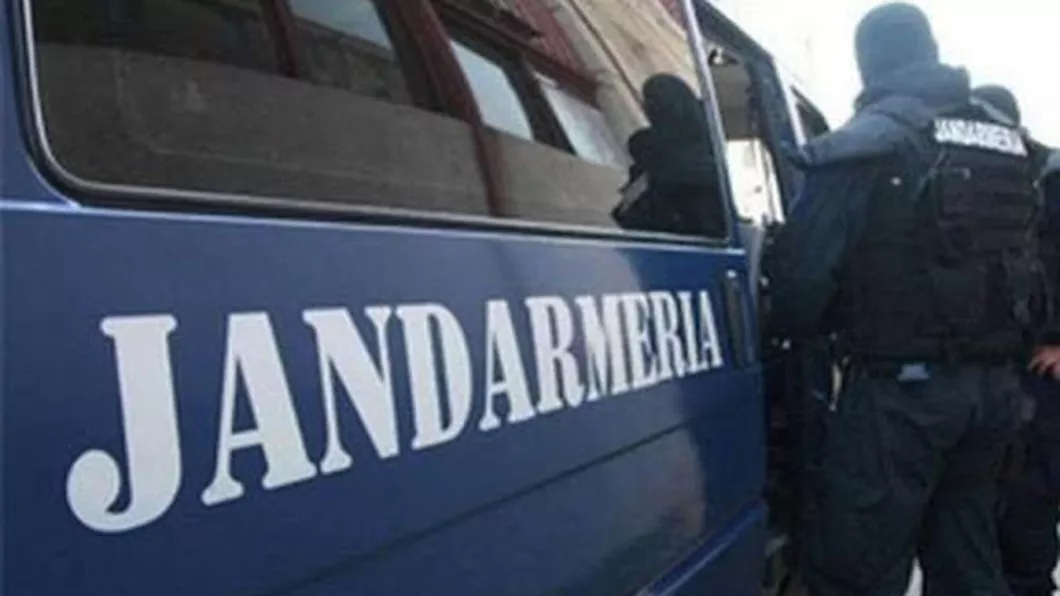 Autospeciala Jandarmeriei a lovit mașina care transporta vaccinurile la Iași Iată cine este de vină