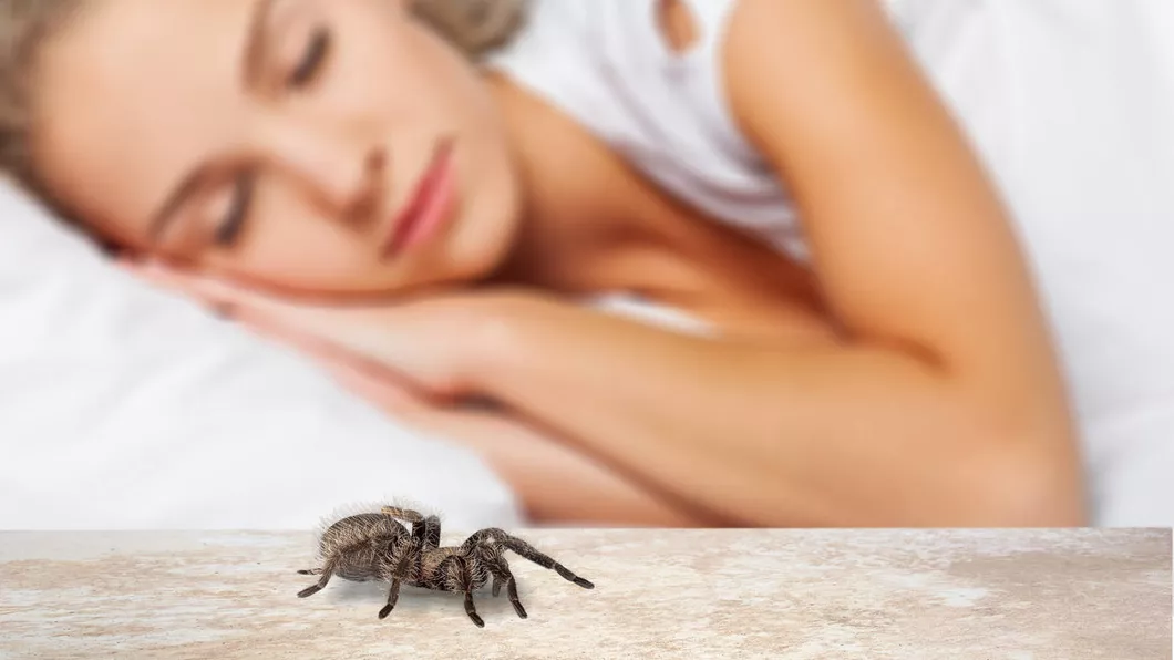 Mușcătura sau înțepătura de păianjen trebuie tratată cu maximă atenție. Cum ne dăm seama de la ce insectă provine