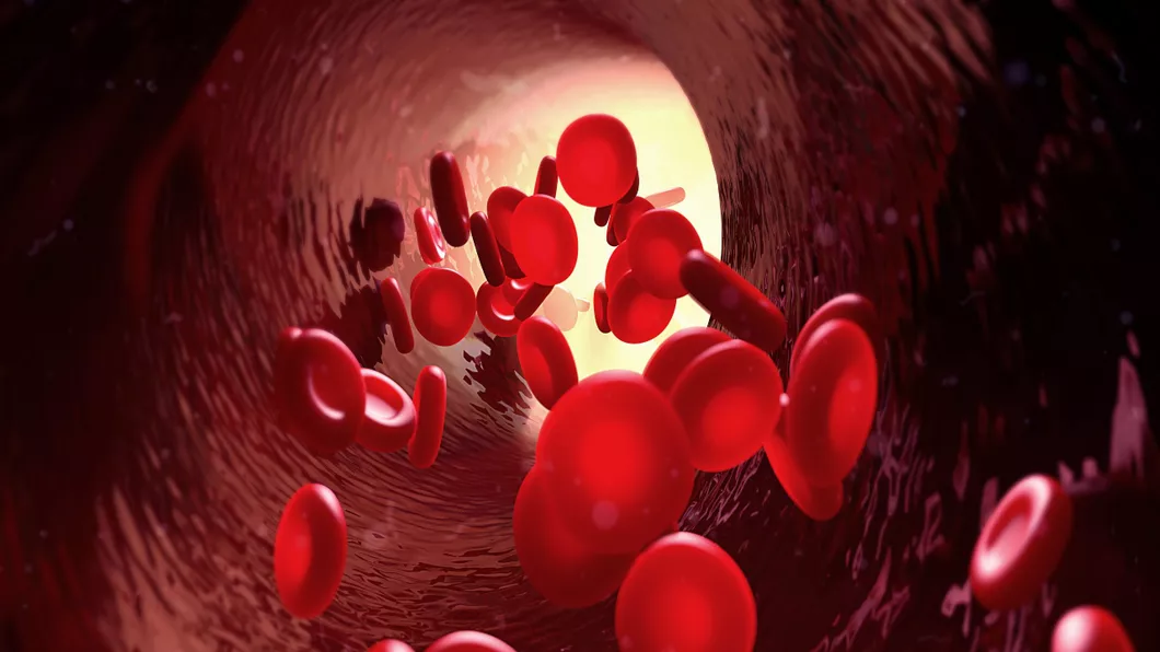 Ce inseamna hemoglobina hemoglobina crescuta si scazuta