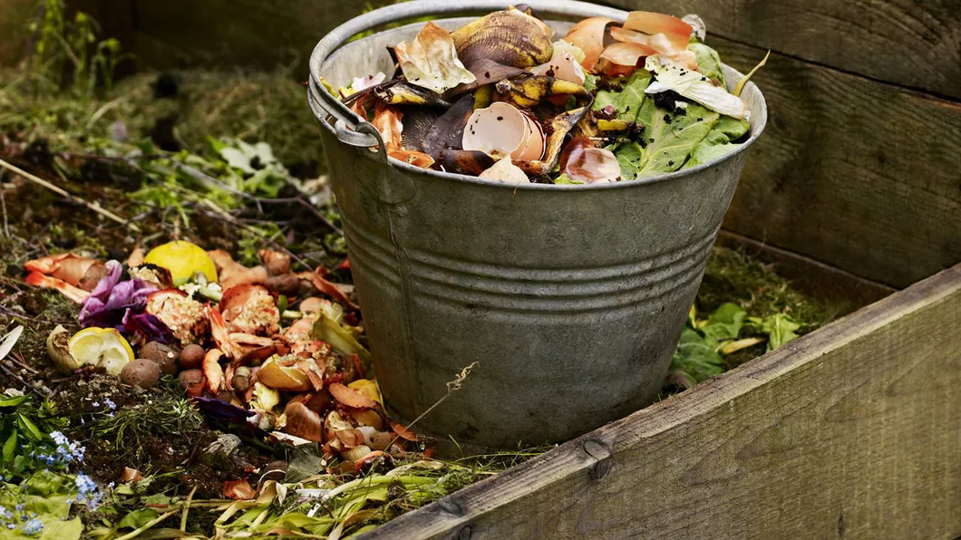 Tipuri de compost. Ce facem cu resturile vegetale