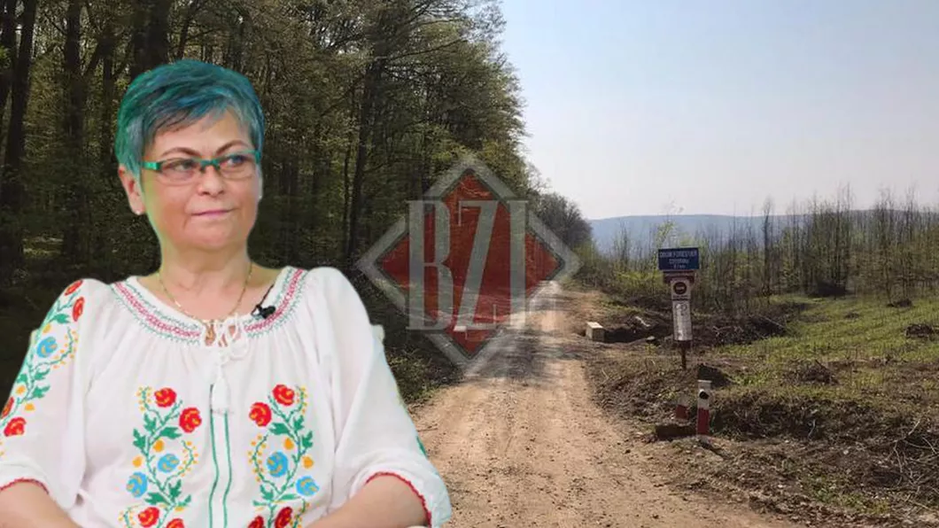 Pădurea Bârnova-Dobrovăț ar putea deveni Parc Natural Specialiștii de mediu din Iași spun că este necesară o documentație avizată de Academia Română și Ministerul Mediului