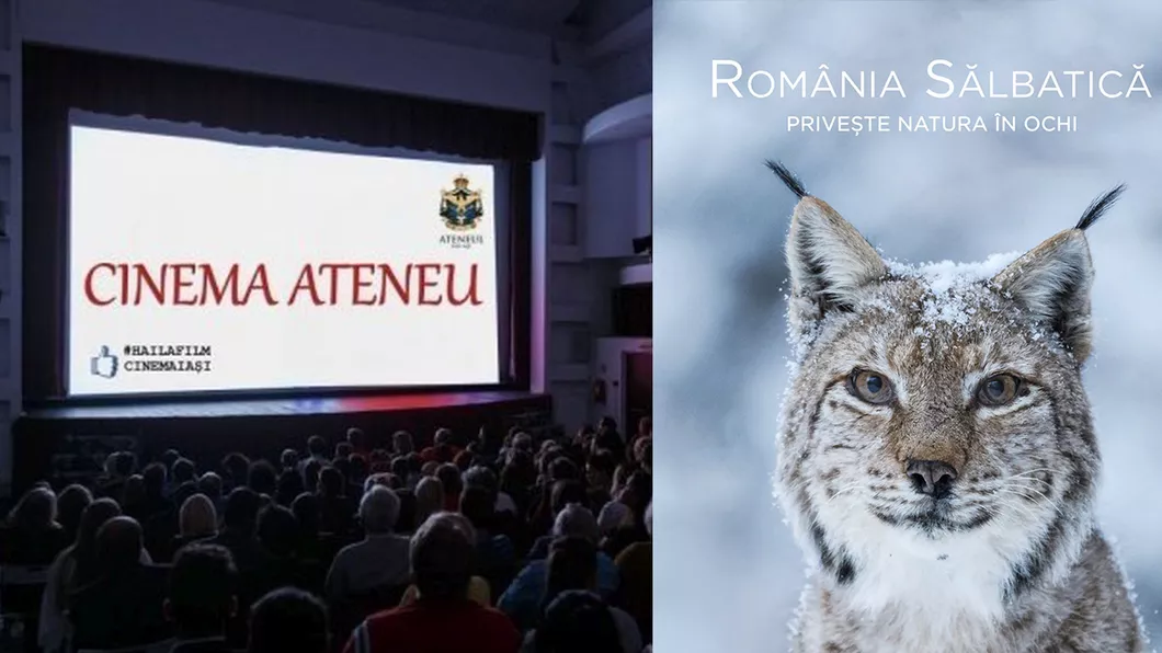 Cele mai noi filme lansate pe marile ecrane săptămâna aceasta la Cinema Ateneu Iași