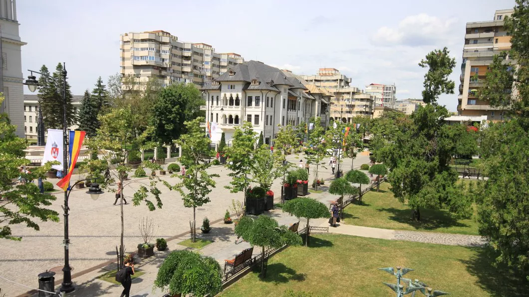 Primăria Iași cumpără noi loturi de arbori Valoarea contractului este de 100.000 de euro
