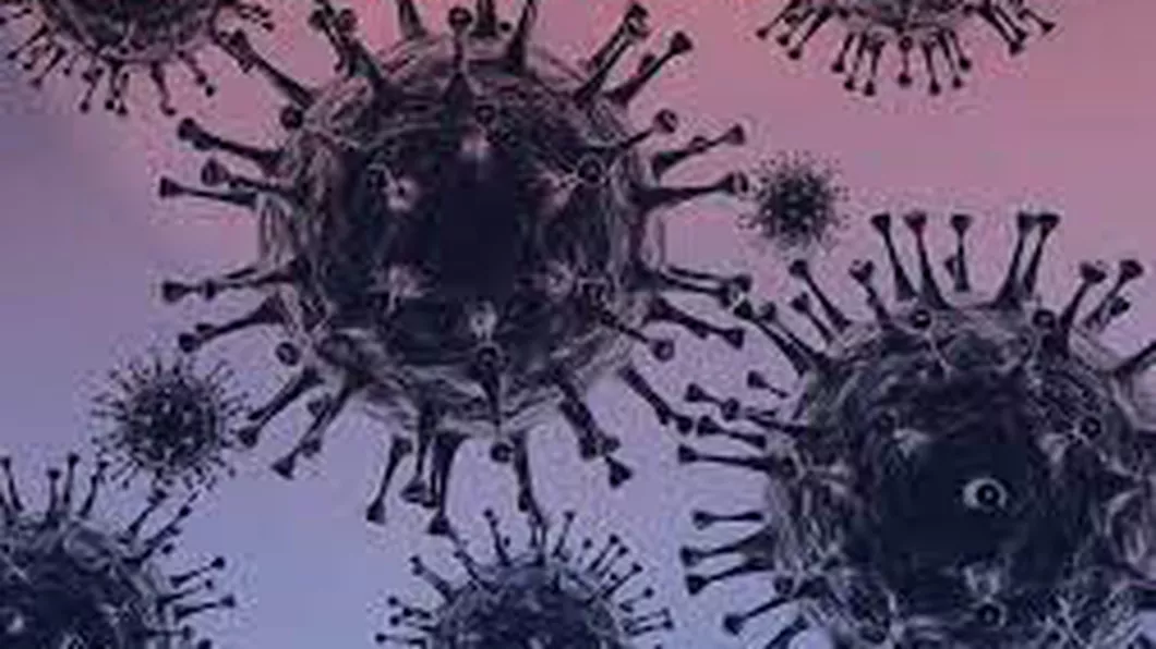 Șase decese cauzate de noul coronavirus în ultimele 24 de ore în județul Iași