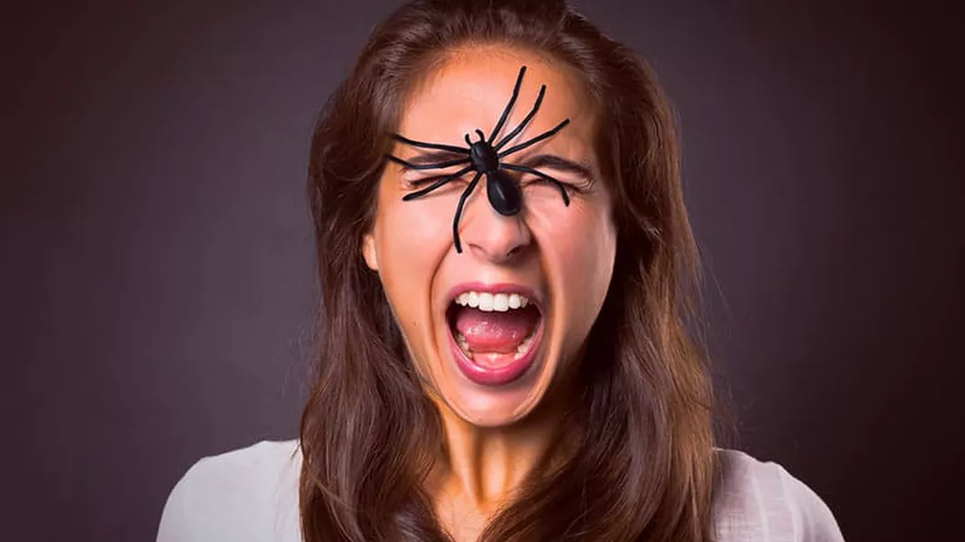 Frica de păianjeni Ce este și cum poate fi tratată
