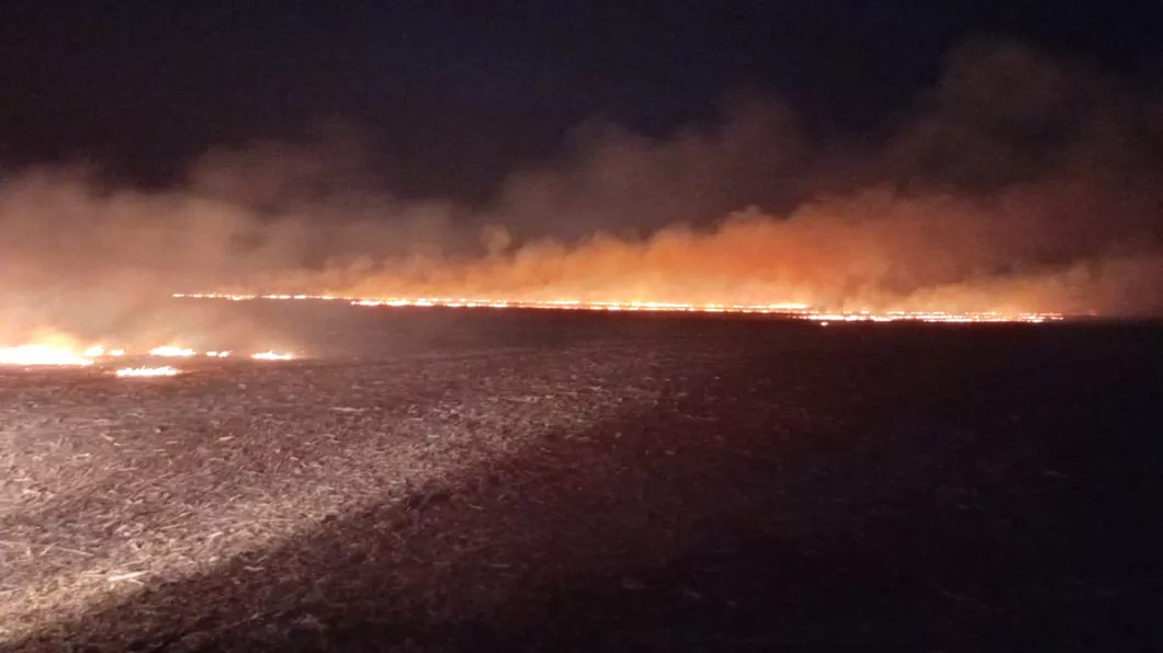 Incendiu de vegetaţie usacată în orașul Tg. Frumos. Aproximativ 30 de hectare au fost afectate