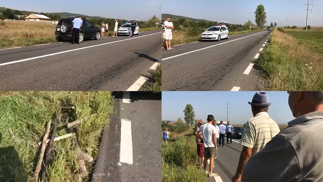 Accident rutier pe o stradă din Iași Un adolescent transportat de urgență la spital în urma impactului. Șoferul de pe Land Rover Freelander a scăpat de pușcărie după ce a recunoscut totul - FOTO  VIDEO Exclusiv