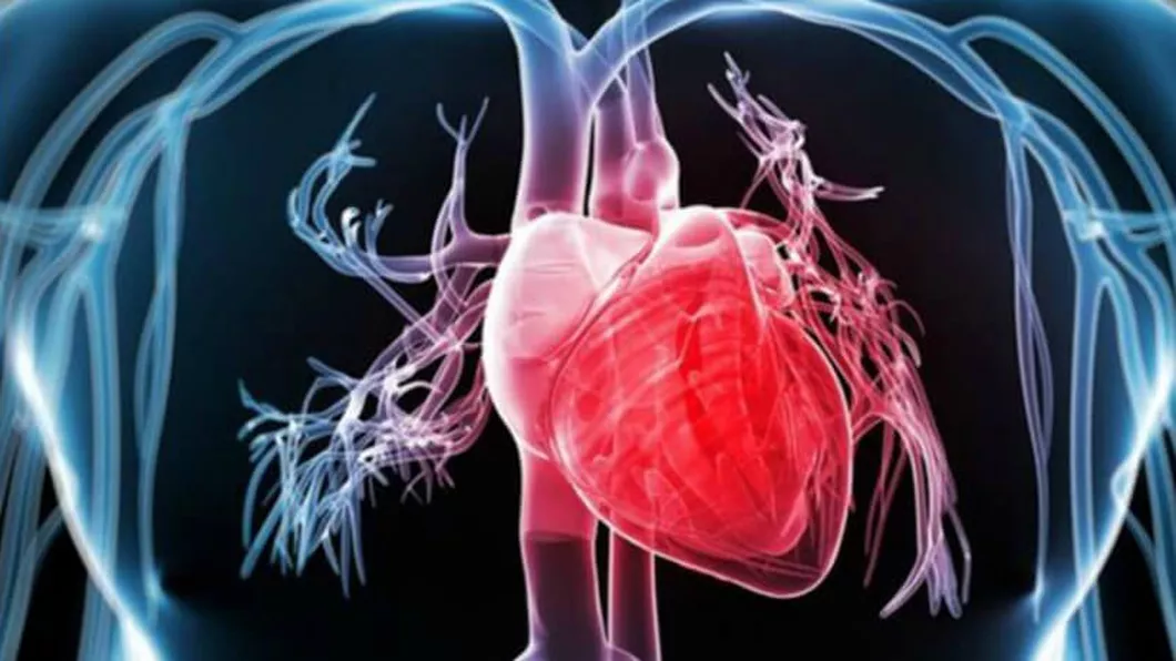 Bătăile inimii scăzute Care sunt cauzele bradicardiei și cum se tratează