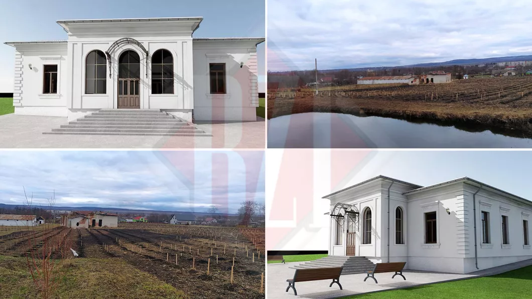 Imagini de vis Pe un teren de 25 hectare un proprietar din Iași a făcut o investiție de sute de mii de euro. Proiectul include un conac două lacuri o livadă și o podgorie spectaculoasă - GALERIE FOTO EXCLUSIV