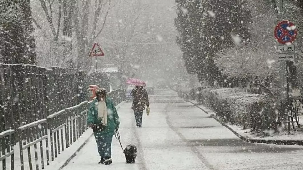 Cod galben de ploi ninsori și polei în România. Avertizare meteo pentru 17 județe