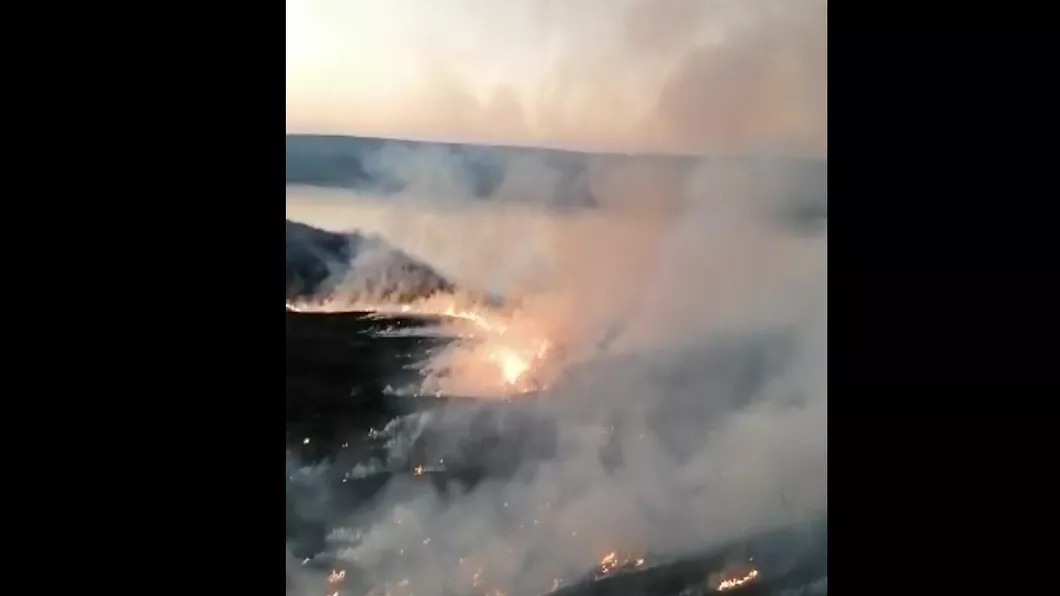 Incendiu de deşeuri şi vegetaţie uscată în două localităţi din judeţul Iaşi - EXCLUSIV FOTO VIDEO