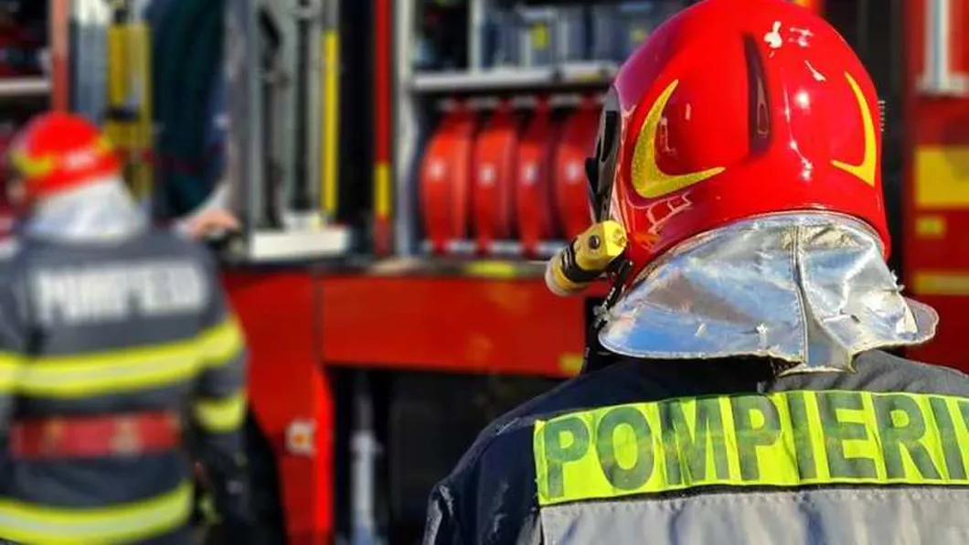 Incendiu de vegetație uscată în Iași