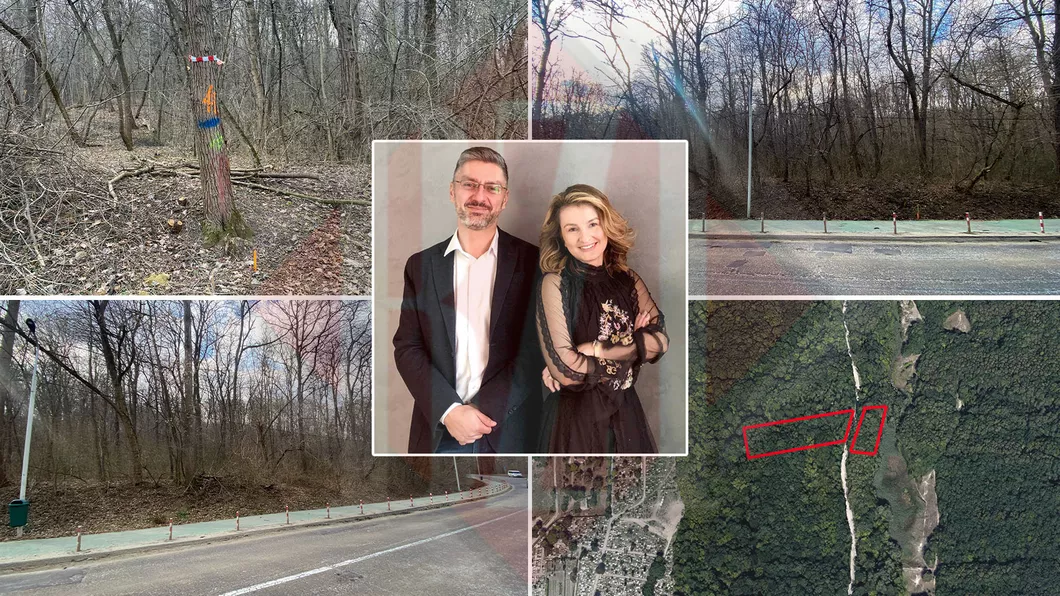 Tranzacție imobiliară în pădurea de la Ciric Ioana Lupu fosta nevastă a patronului de la Fratelli construiește o sală de nunți alături de noul soț în inima naturii - FOTO
