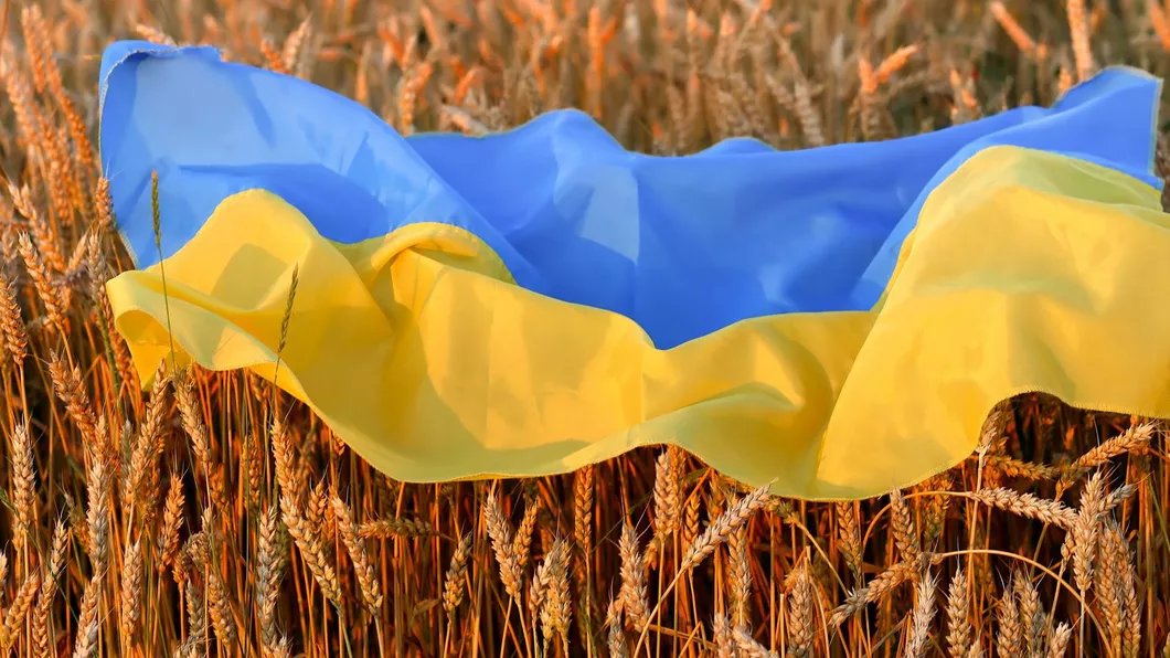 Ucraina vrea să exporte cereale prin România