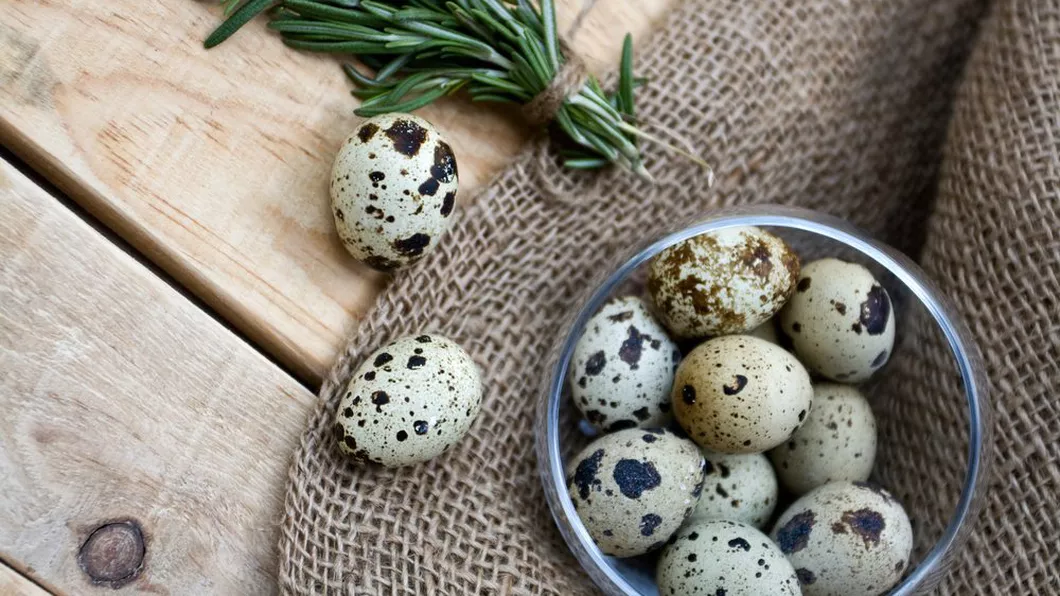 Câte ouă de prepeliță poți mânca pe zi Beneficiile neștiute ale acestora