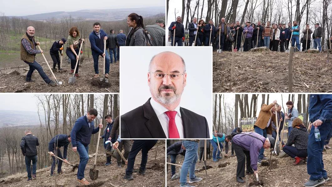 Pesediștii ieșeni bagă capul în poză Maricel Popa se laudă cu plantarea copacilor puși la dispoziție de Direcția Silvică Iași