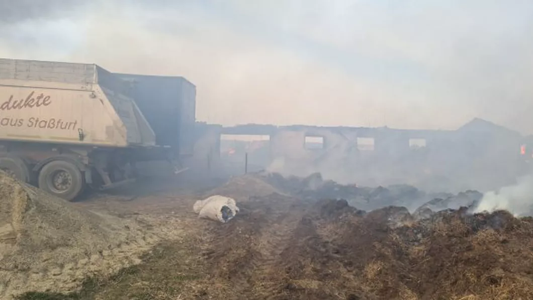 Incendiu puternic la un adăpost de animale din judeţul Botoşani