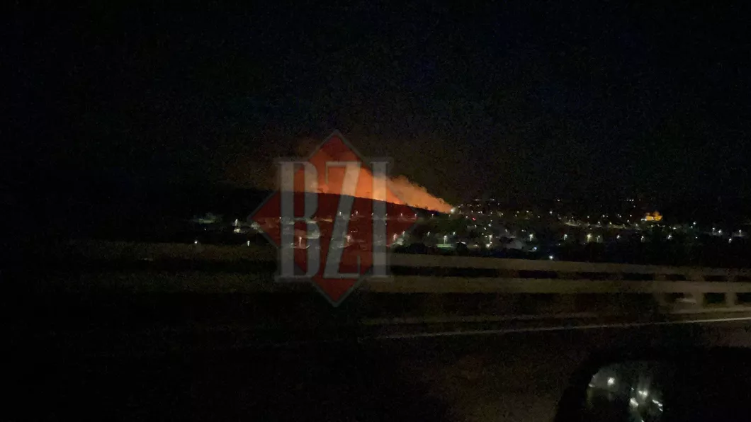 Incendiu de vegetație uscată în localitatea Cornești comuna Miroslava - GALERIE FOTO