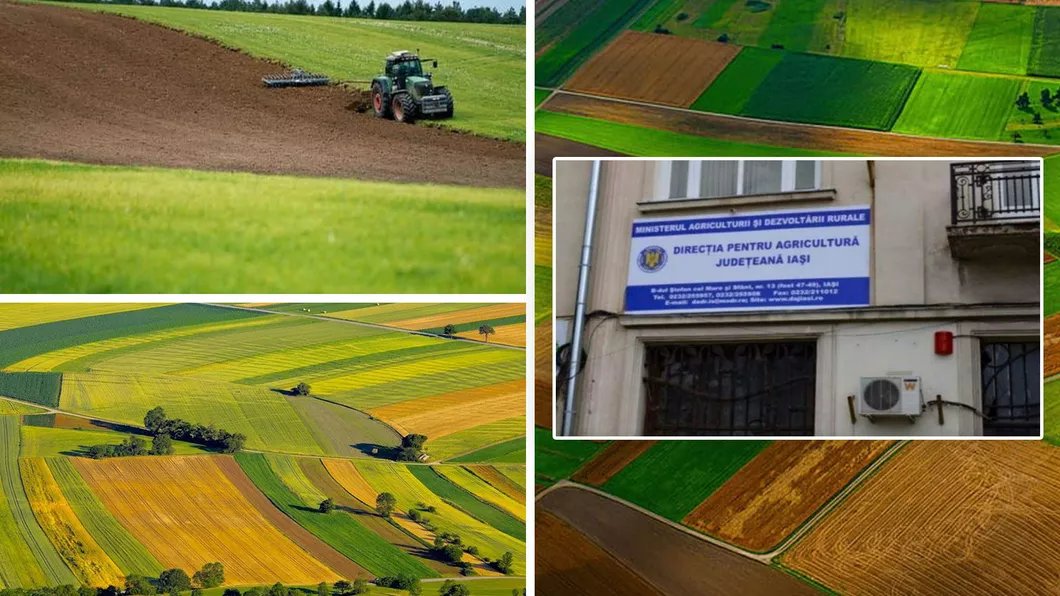 A scăzut numărul ofertelor de vânzare a terenurilor agricole din Iași