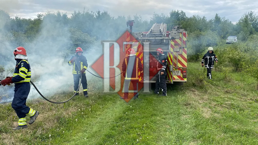 Incendiu de vegetație în satul Slobozia. Flăcările au cuprins o suprafață de 1000 mp - EXCLUSIV GALERIE FOTO VIDEO