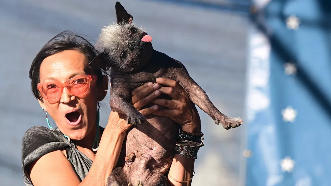 Cum arată câștigătorul concursului Cel mai urât câine din lume - FOTO VIDEO