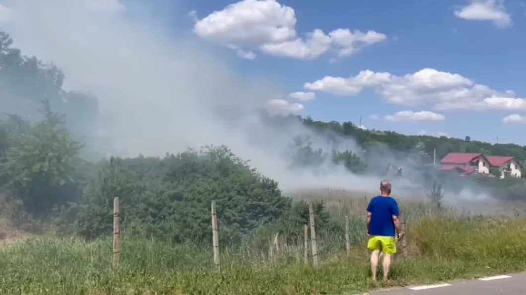 Incendiu de vegetaţie uscată în comuna Miroslava. Pompierii intervin în forţă - EXCLUSIV VIDEO