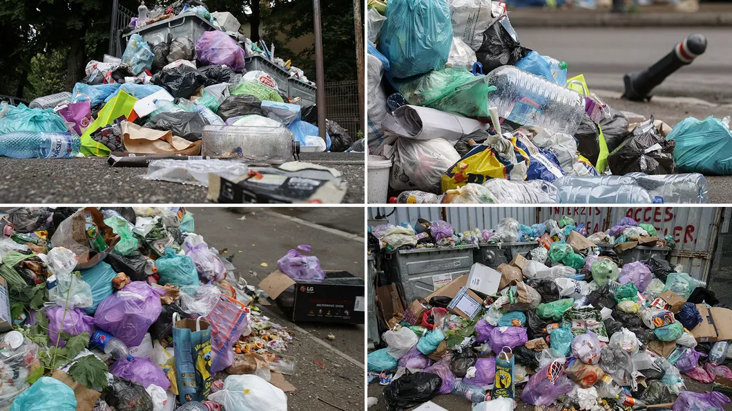 Amenzi de 120.000 de lei aplicate de Garda de Mediu Iași. Depozitările necontrolate de deșeuri sunt în continuare o problemă