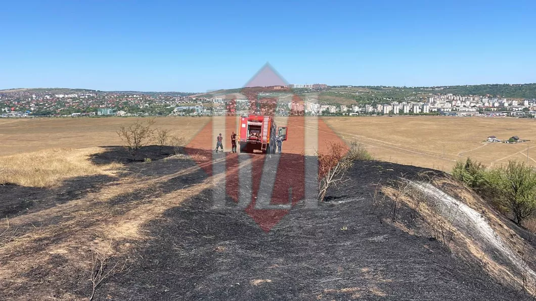Incendiu de vegetație în Miroslava. Pompierii au găsit trupul carbonizat al unei femei - EXCLUSIV FOTO VIDEO UPDATE