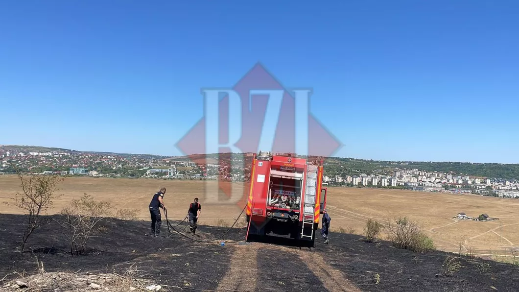 Pompierii ISU Iași trag un semnal de alarmă Arderea vegetației uscate și a resturilor vegetale este strict interzisă
