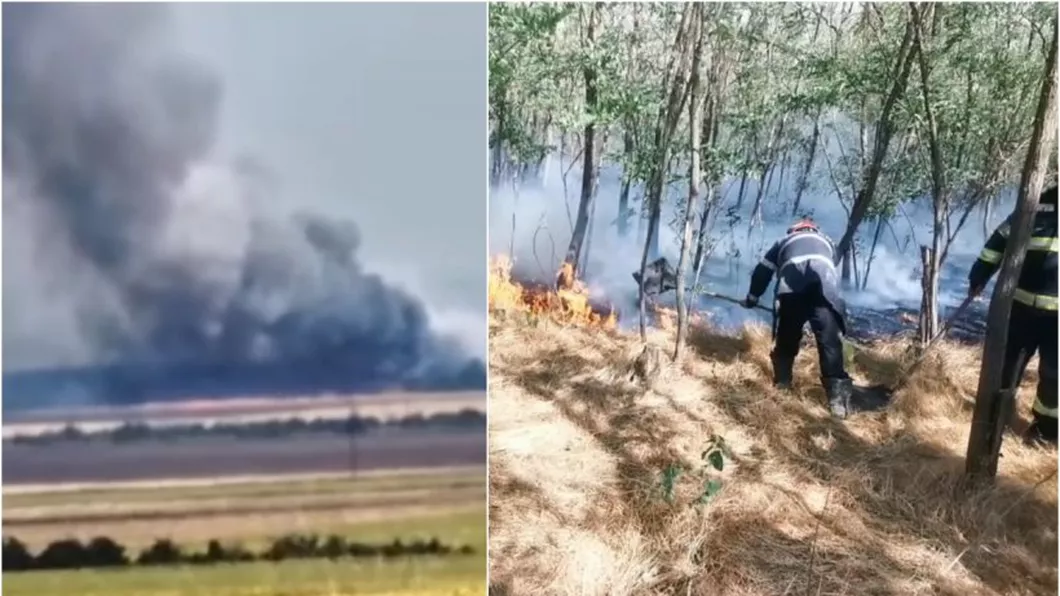 Incendiu de proporții în Vrancea ard 40 de hectare de pădure și 50 de hectare de vegetație uscată - VIDEO