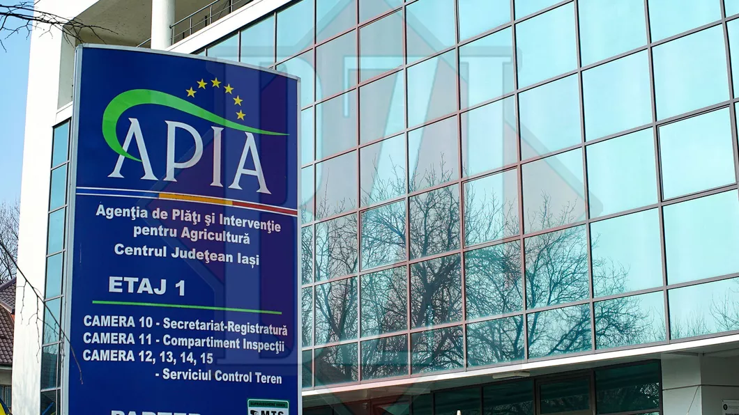 APIA Iași a finalizat autorizarea la plată a microgranturilor de 5.000 de euro. Când vor intra banii în conturi